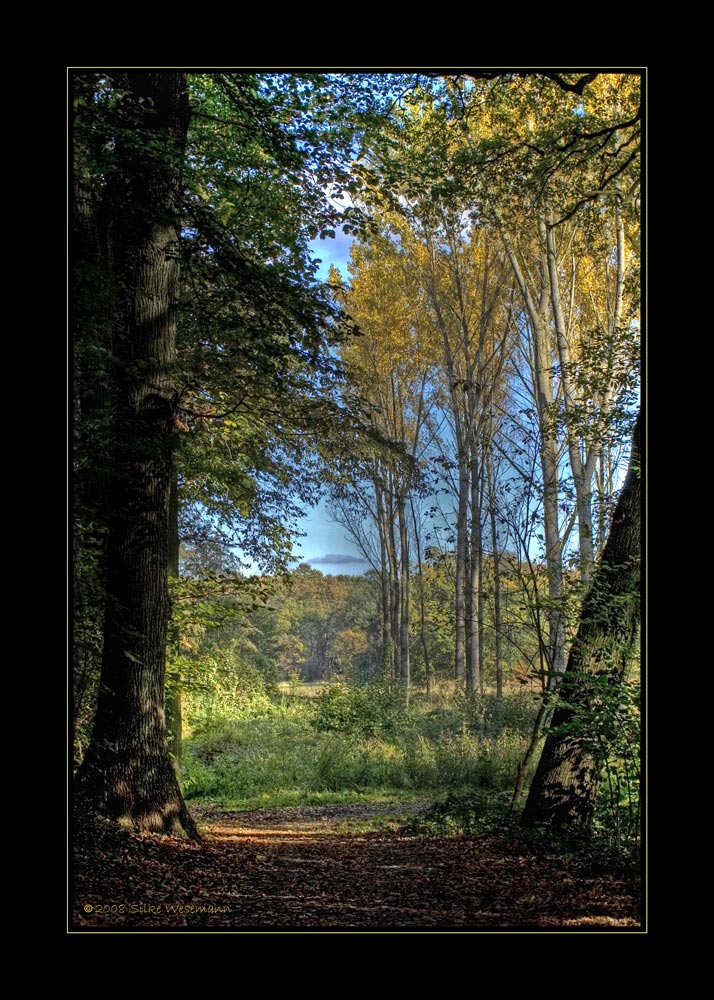 Der Herbst kommt