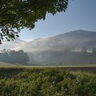 Der Herbst kommt