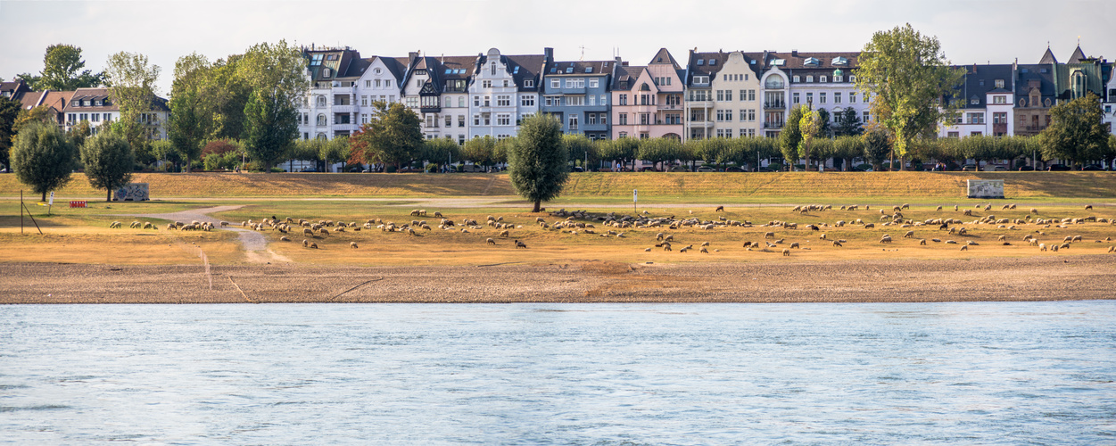 Der Herbst kommt