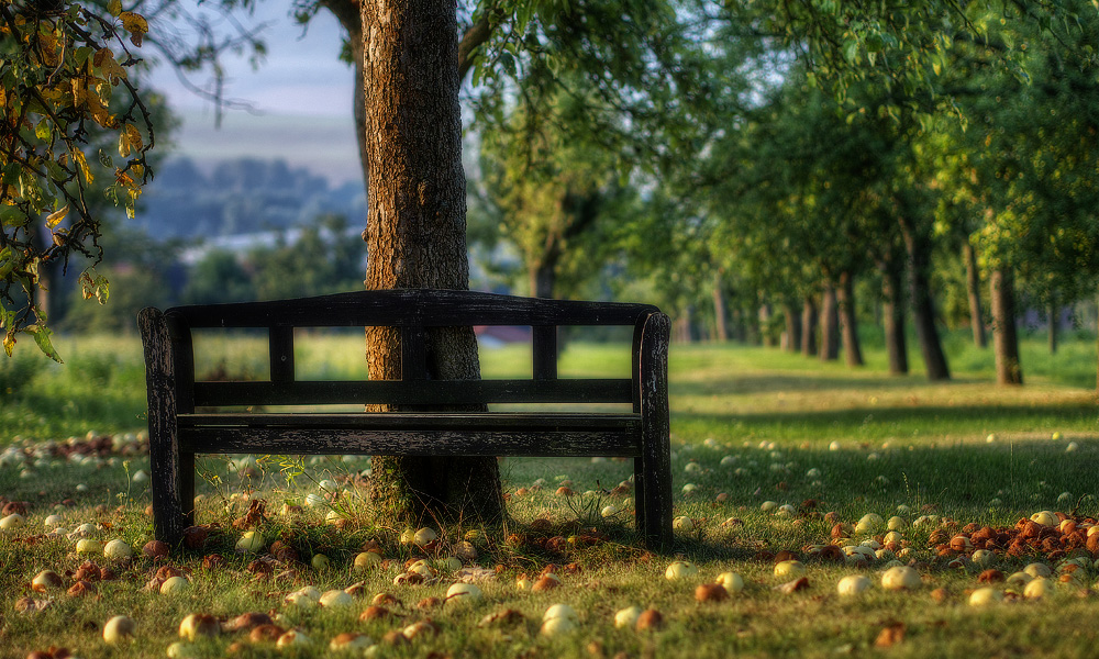 Der Herbst kommt...