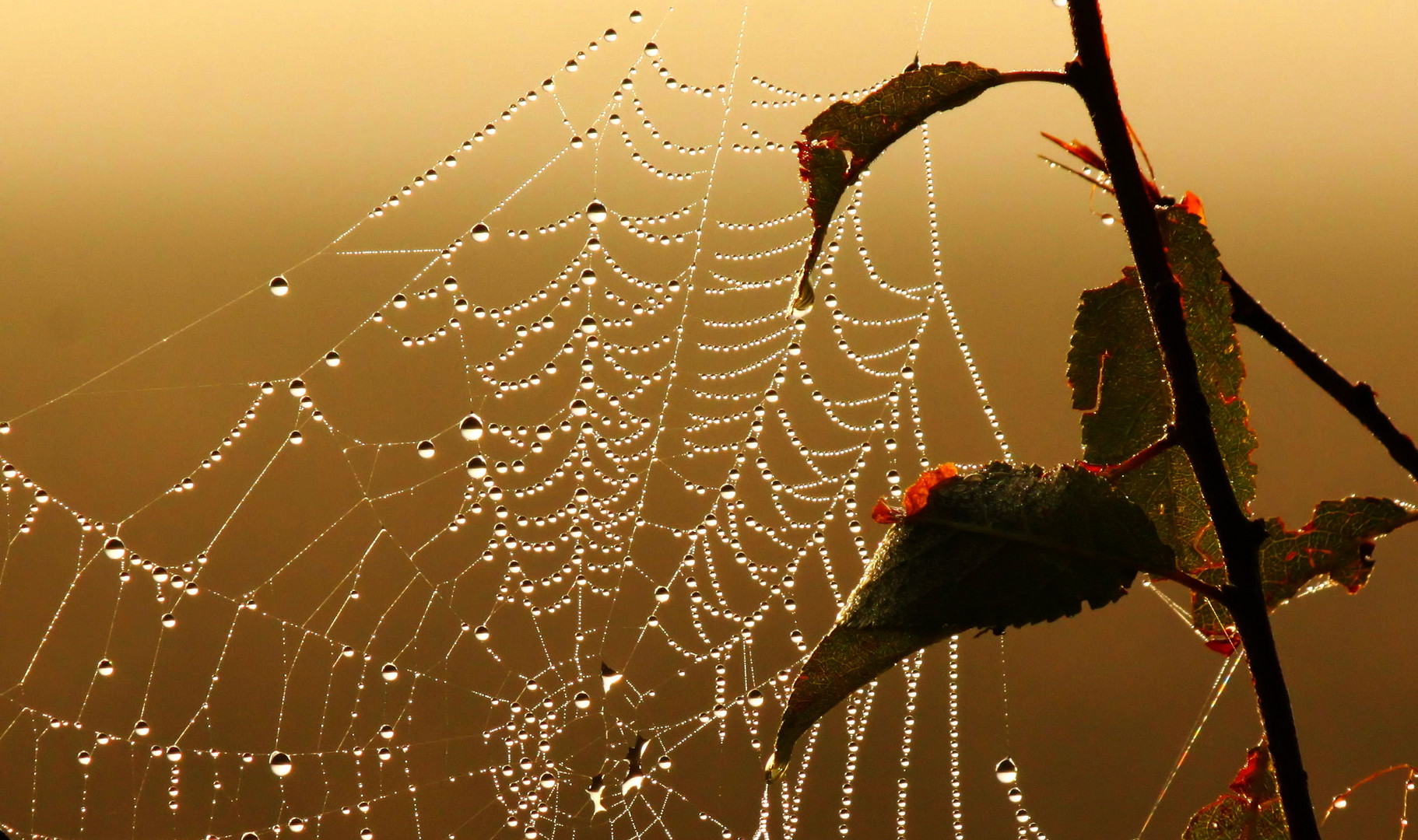 Der Herbst kommt...