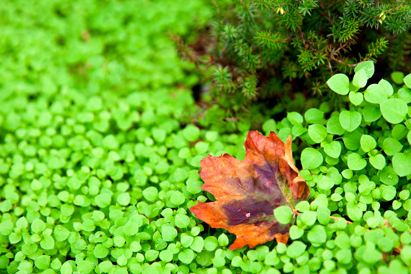 Der Herbst kommt