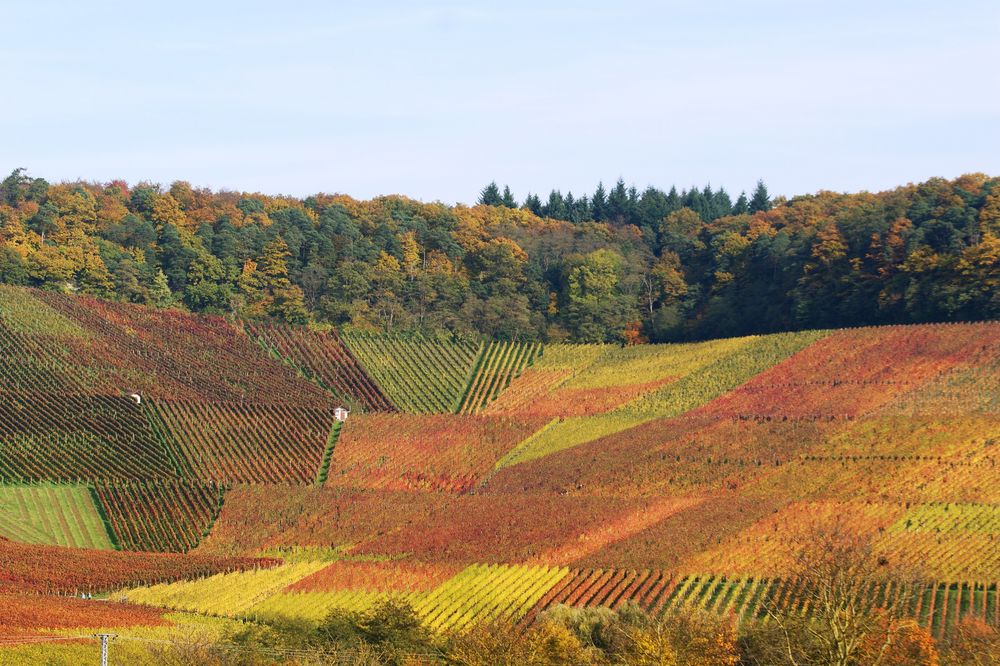 der Herbst kommt