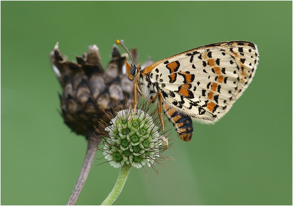  Der Herbst kommt immer näher. Foto & Bild 