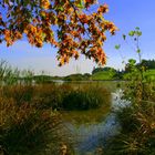 Der Herbst kommt in ganz großen Schritten