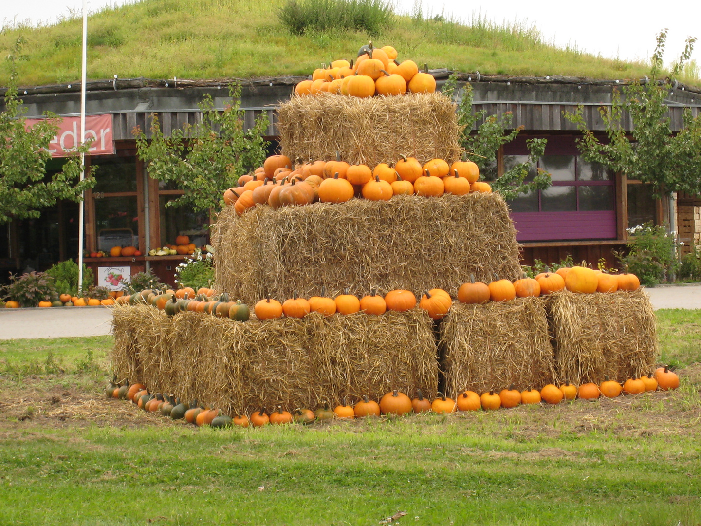 Der Herbst kommt in großen Schritten