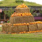 Der Herbst kommt in großen Schritten