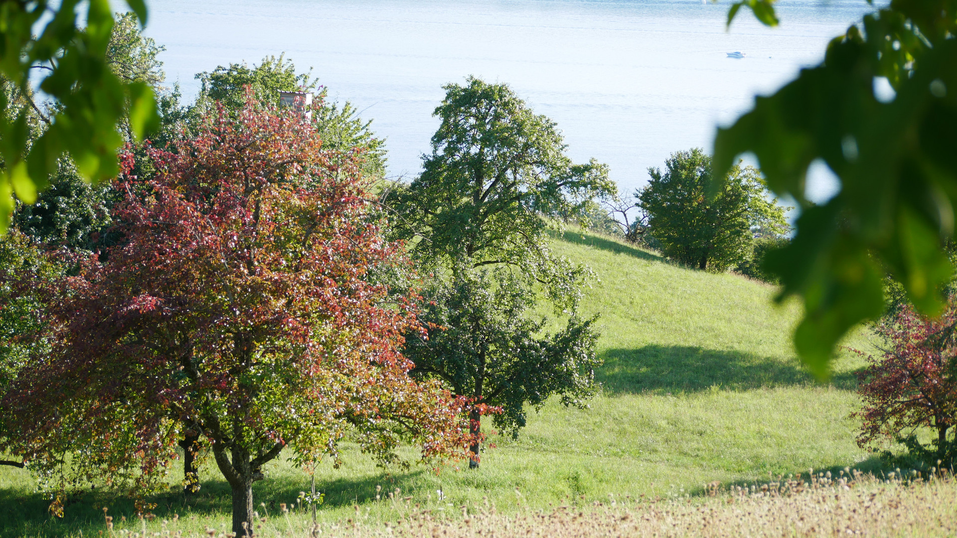 der Herbst kommt in leisen Schritten