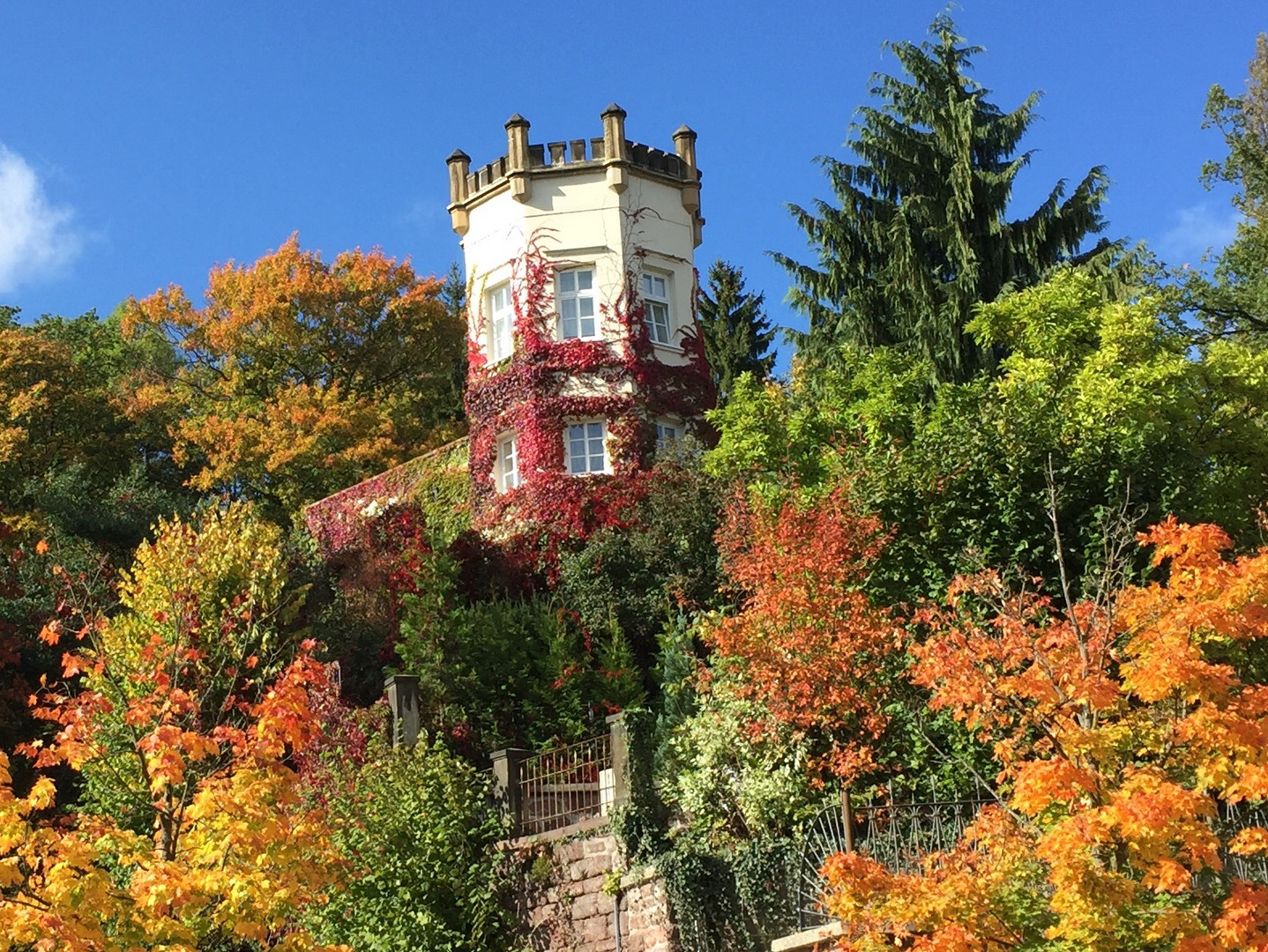 Der Herbst kommt in schnellen Schritten 