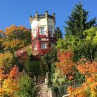 Der Herbst kommt in schnellen Schritten 