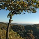 Der Herbst kommt ins Siebengebirge