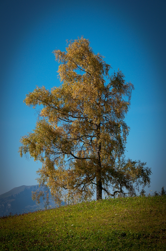 Der Herbst kommt langsam aber sicher