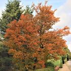 Der Herbst kommt mit großen Schritten