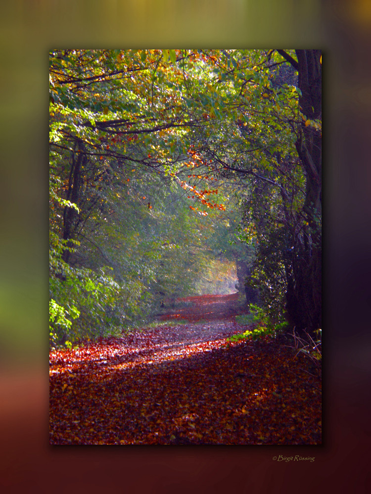 Der Herbst kommt mit großen Schritten . . .