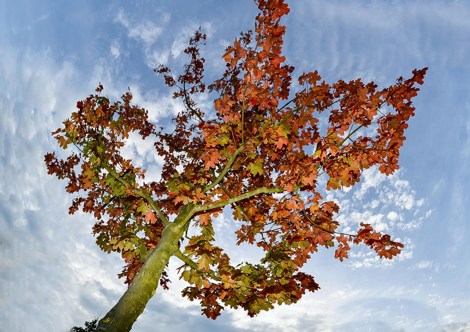 Der Herbst kommt mit grossen Schritten