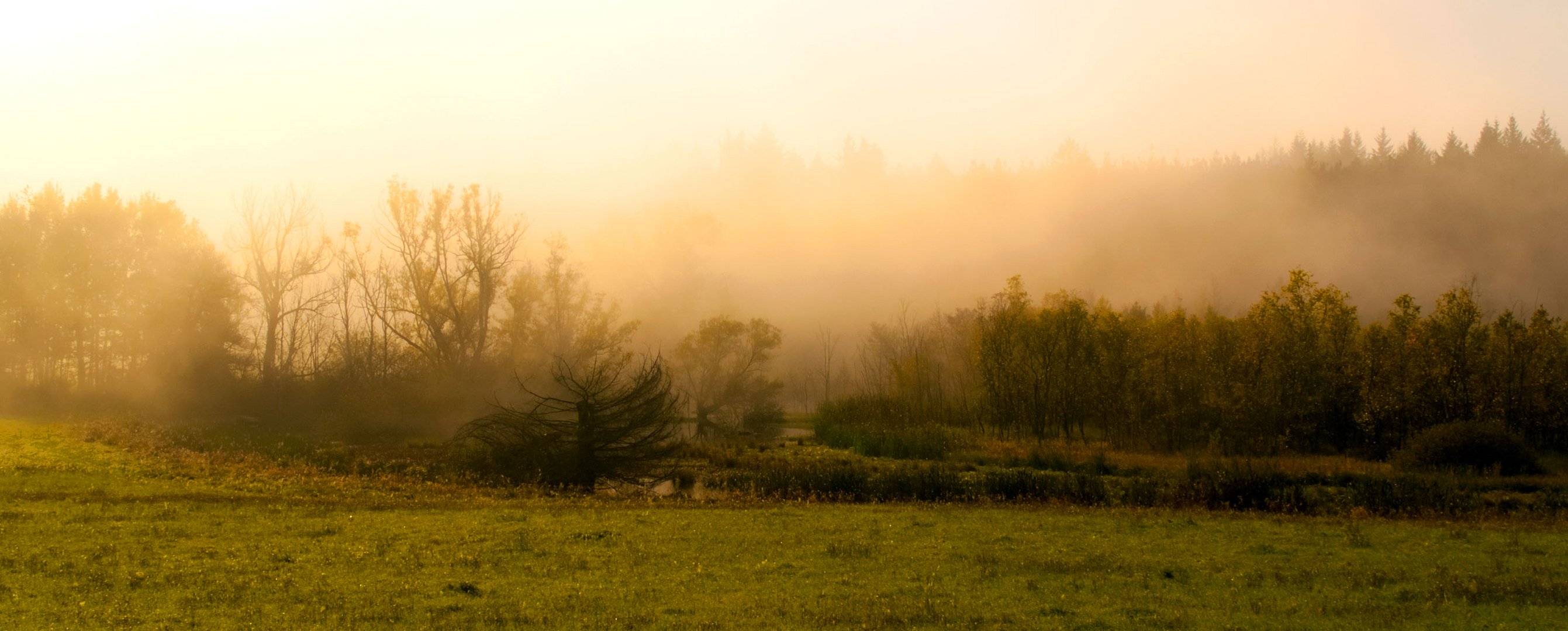 Der Herbst kommt mit großen Schritten.