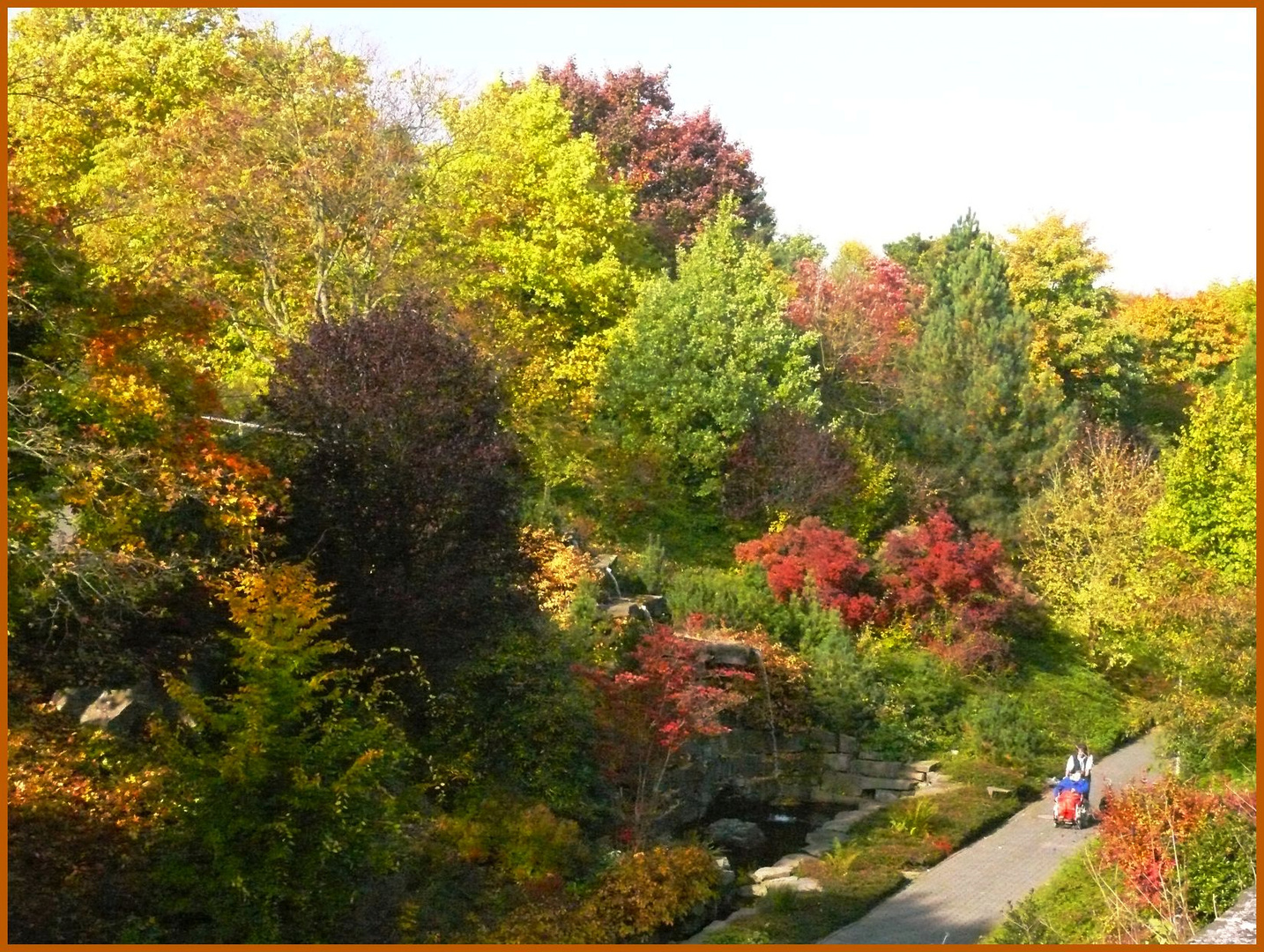 Der Herbst kommt mit seiner Farbenpracht