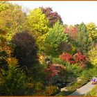 Der Herbst kommt mit seiner Farbenpracht