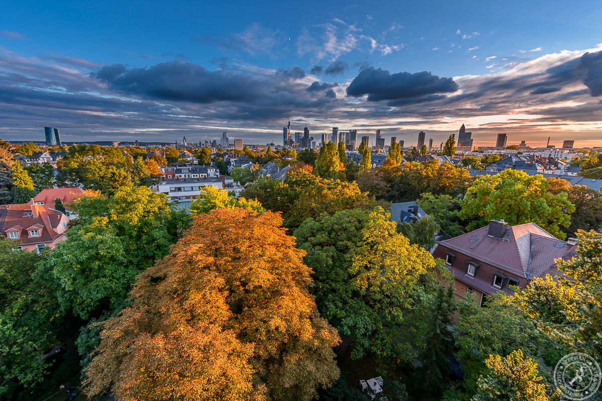 Der Herbst kommt nach Frankfurt