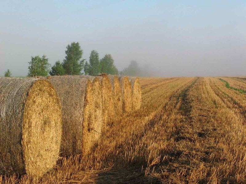 Der Herbst kommt näher