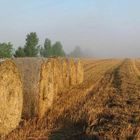 Der Herbst kommt näher