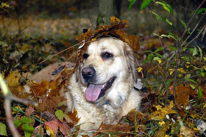 der Herbst kommt schnell