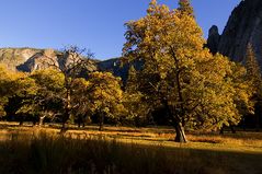 der herbst kommt sicher - Yosemite 2009