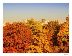 Der Herbst kommt über die Stadt