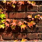 Der Herbst kommt - Zeche Zollverein