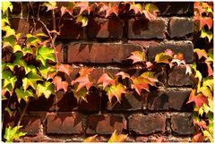 Der Herbst kommt - Zeche Zollverein