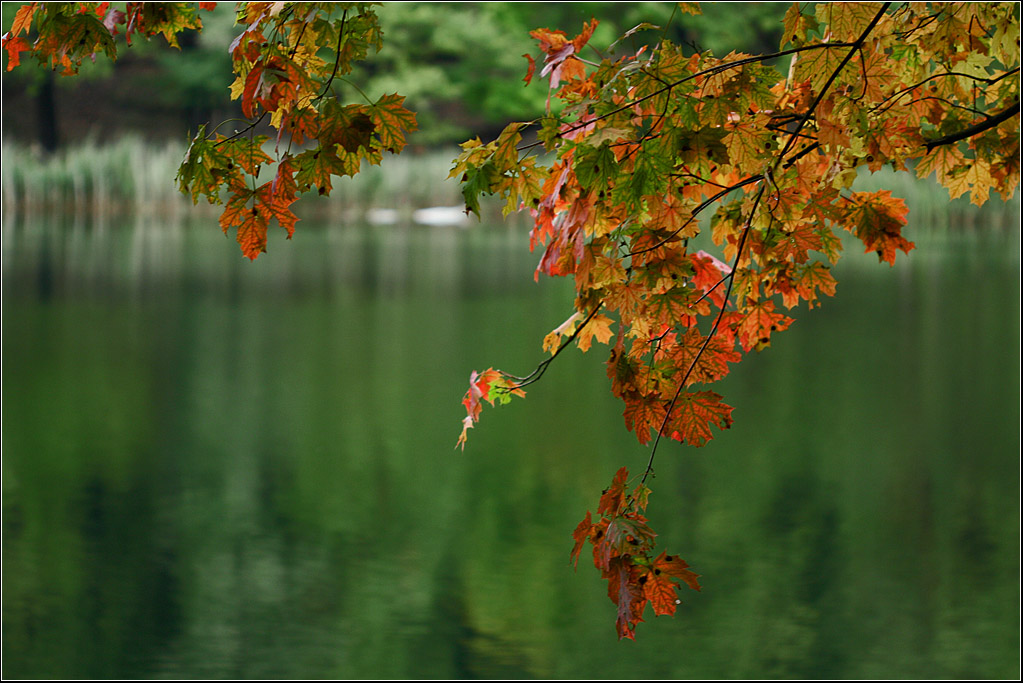 Der Herbst kommt...mit Pinsel und Farbe!