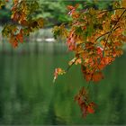 Der Herbst kommt...mit Pinsel und Farbe!