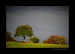 Der Herbst kriecht ins Land