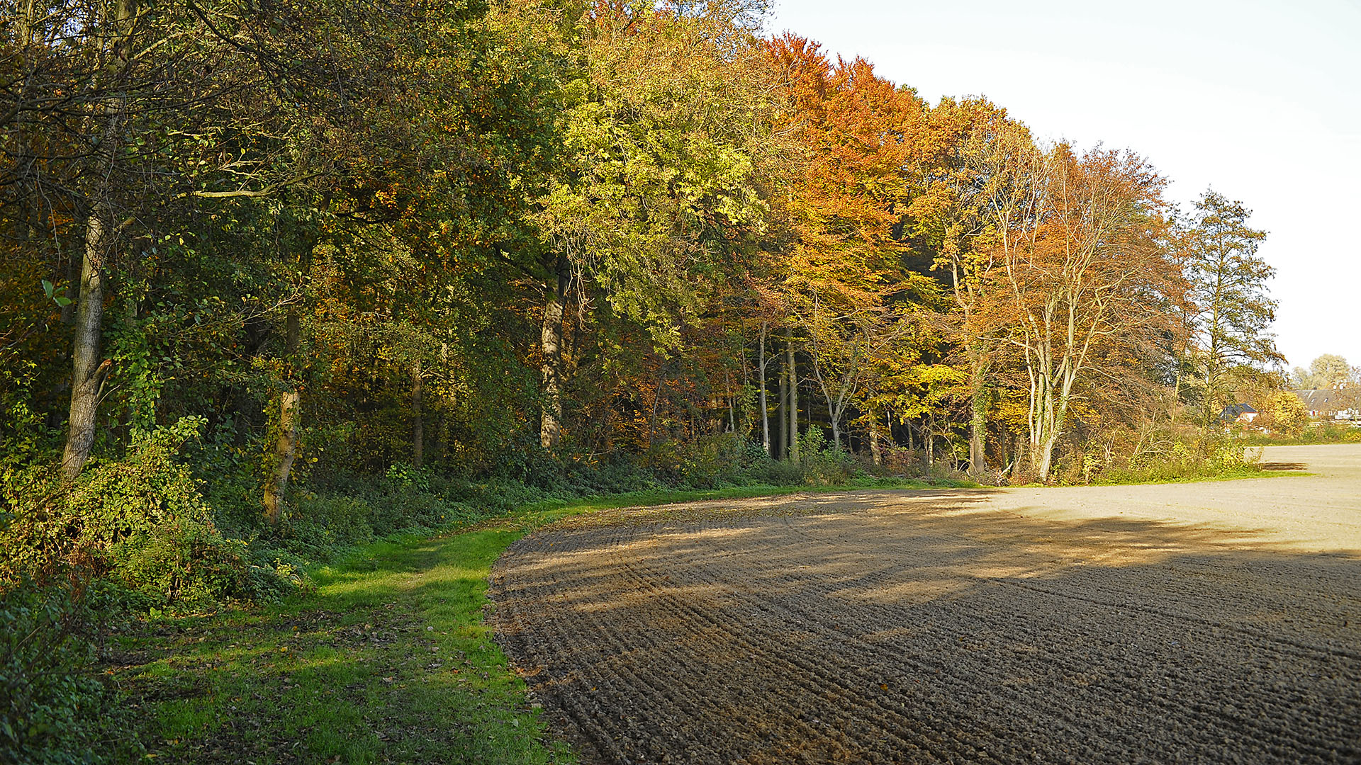 Der Herbst kriegt die Kurve!