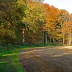 Der Herbst kriegt die Kurve!