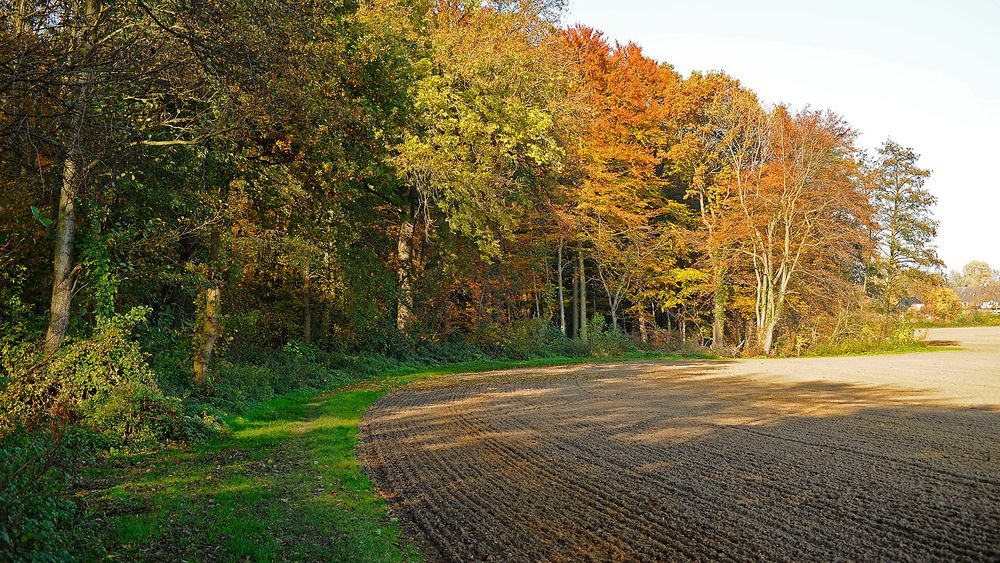 Der Herbst kriegt die Kurve!