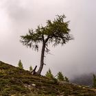 Der Herbst kündet sich an