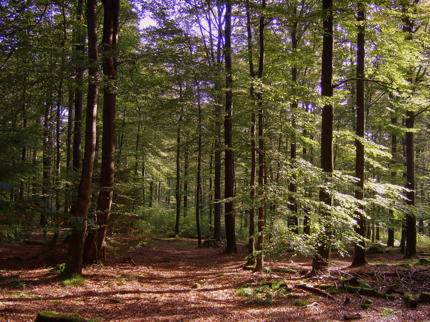 -Der Herbst kündigt sich an-