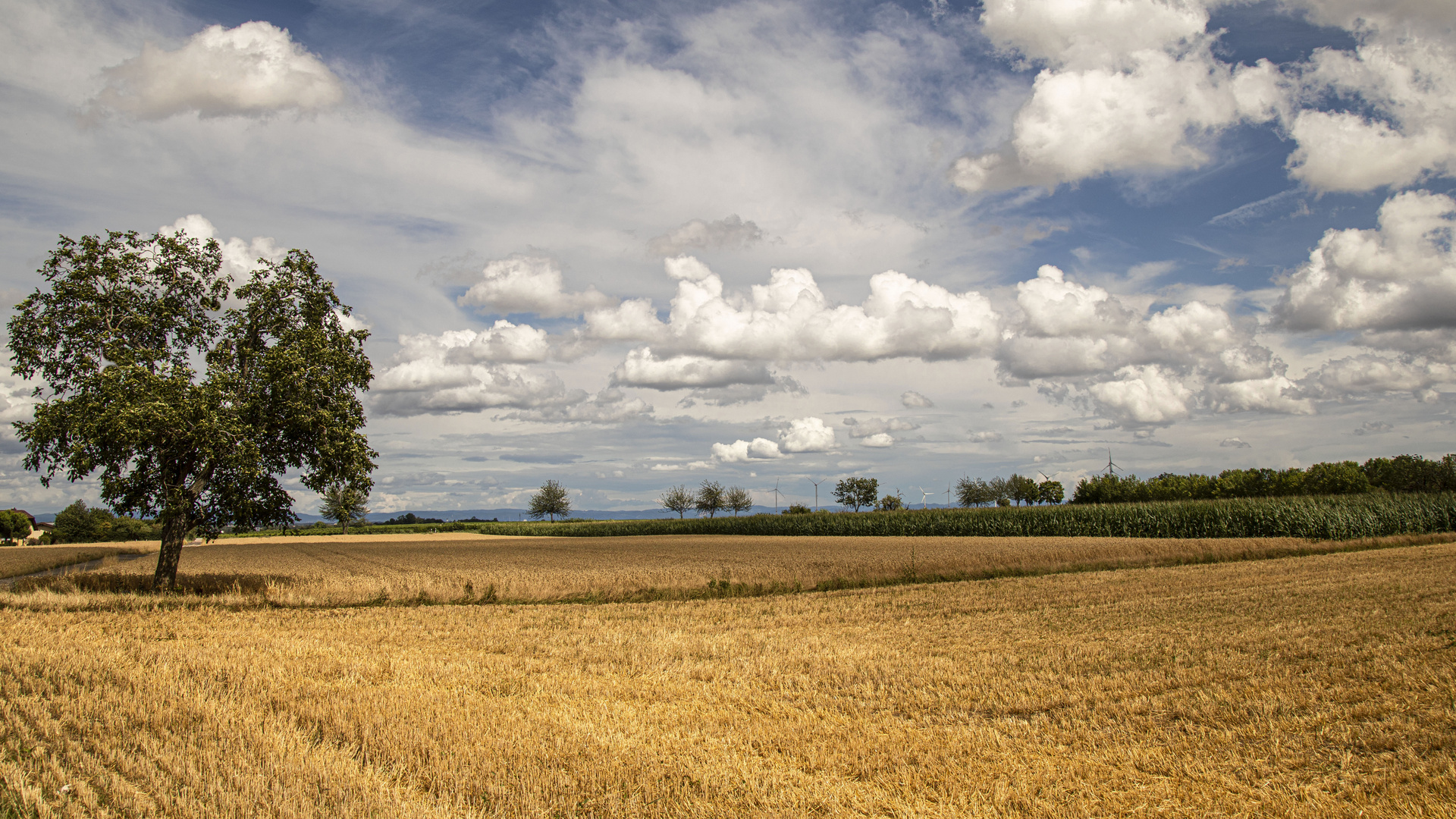 DER HERBST KÜNDIGT SICH AN