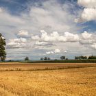 DER HERBST KÜNDIGT SICH AN