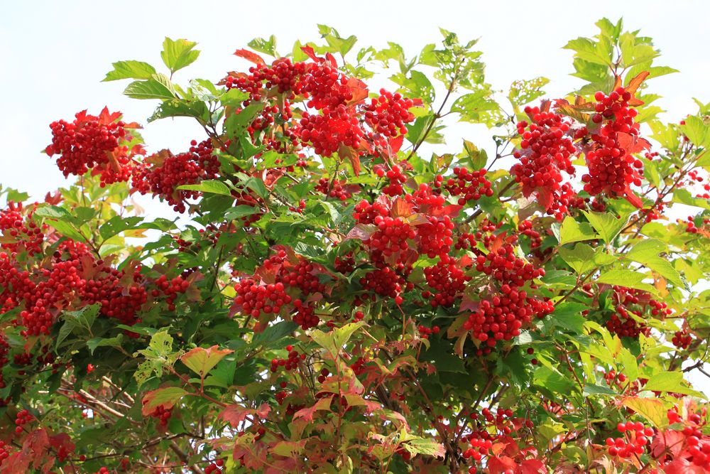 - Der Herbst kündigt sich an...