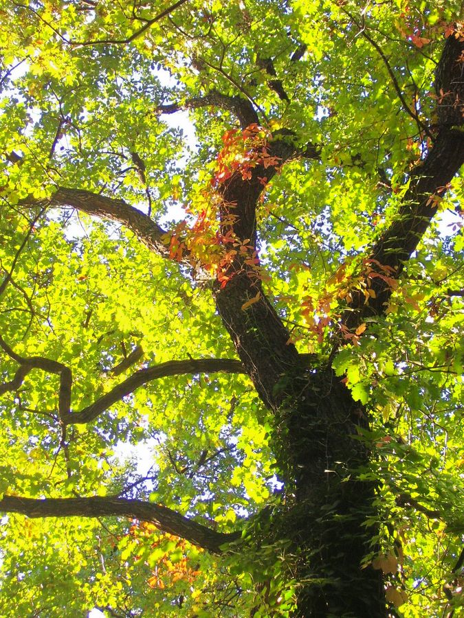 Der Herbst kündigt sich an