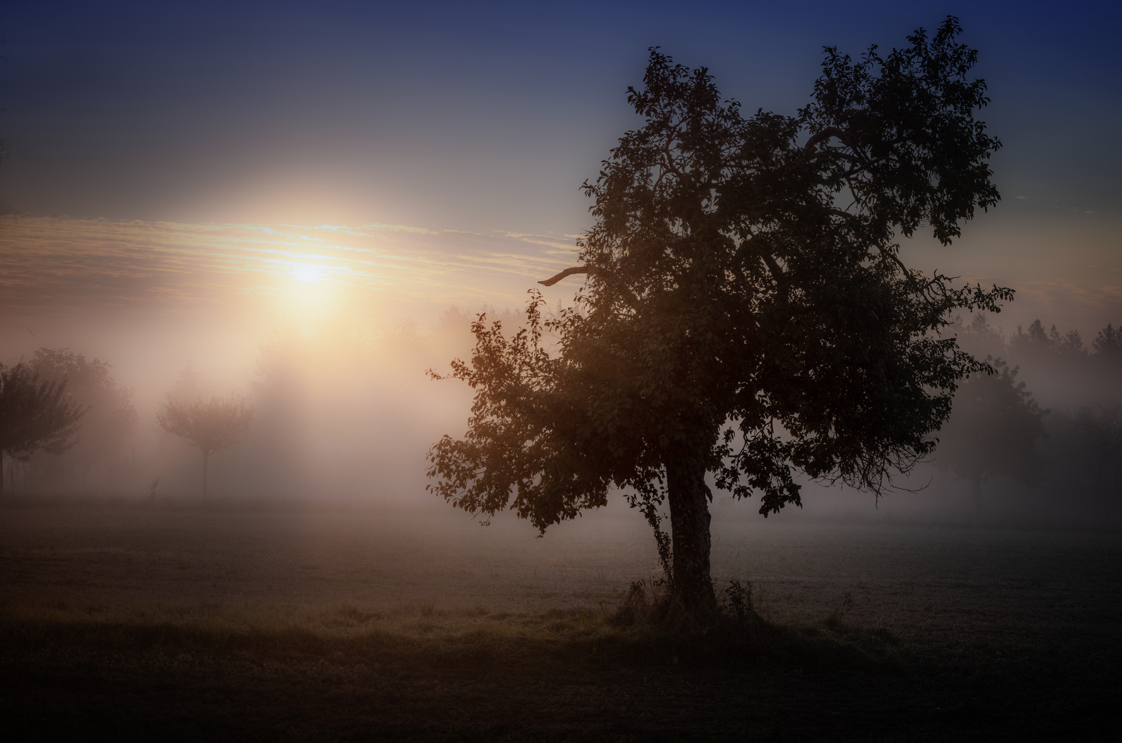 Der Herbst kündigt sich an