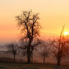 Der Herbst kündigt sich an