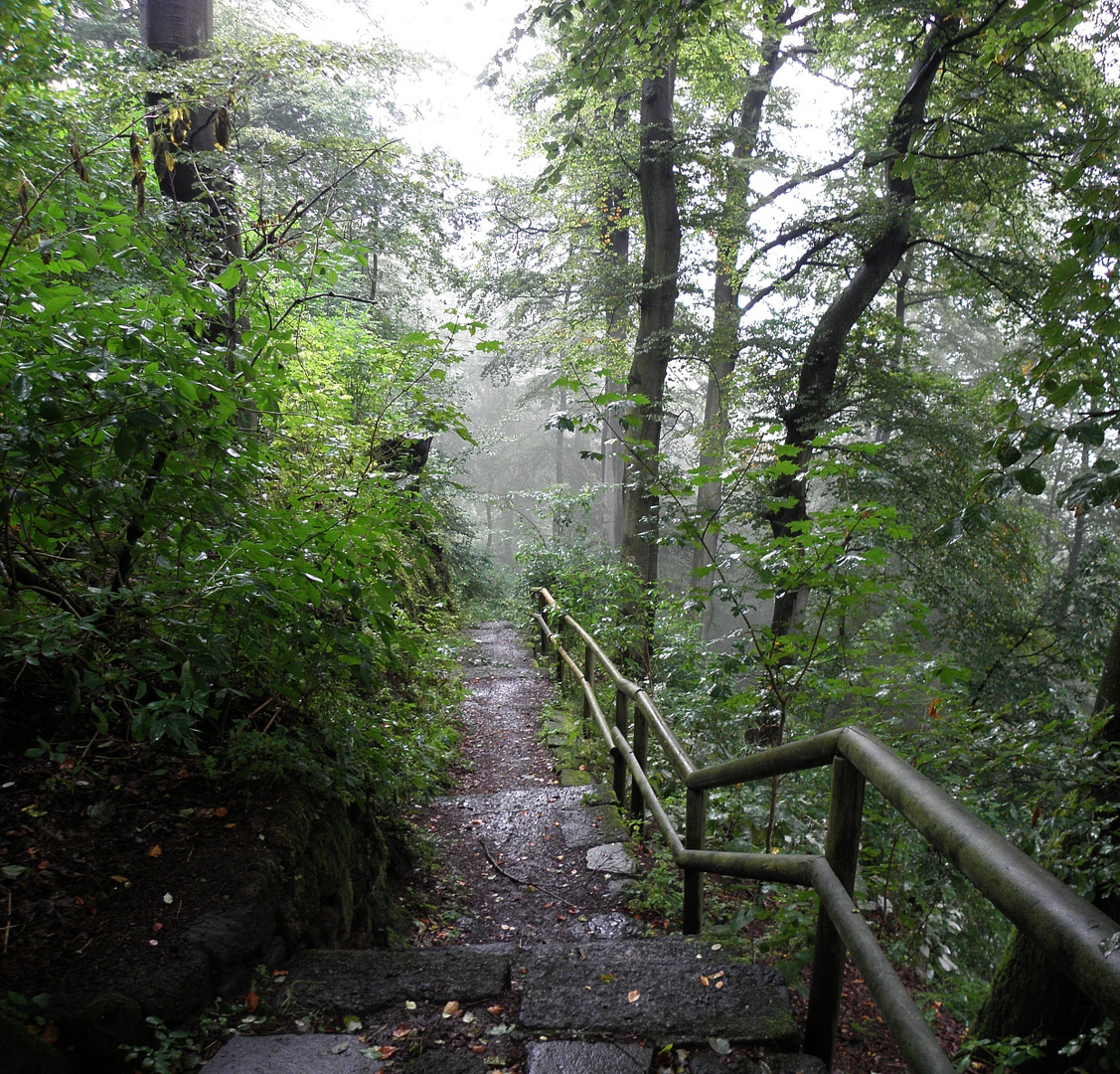 Der Herbst kündigt sich an