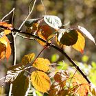 der Herbst lädt ein