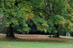 Der Herbst lädt ein