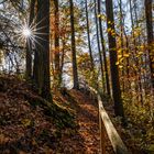 Der Herbst lädt zum Wandern