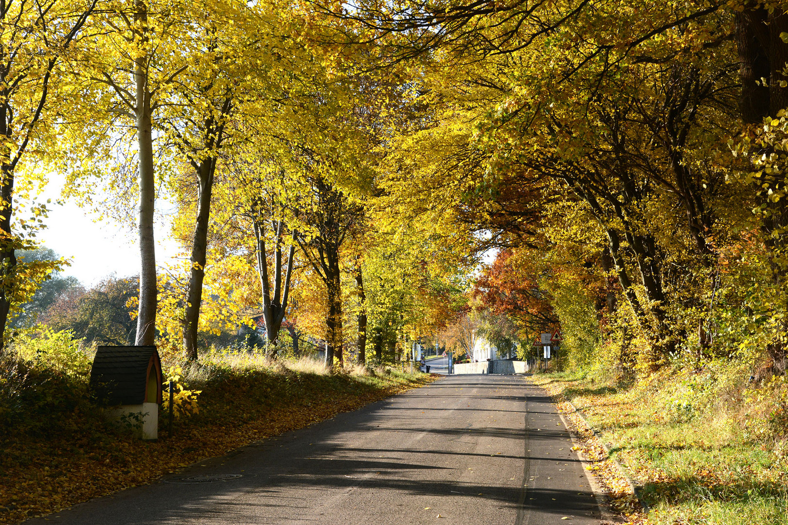 Der Herbst läßt die Blätter sich wunderbar färben.  Unser Dorfeingang