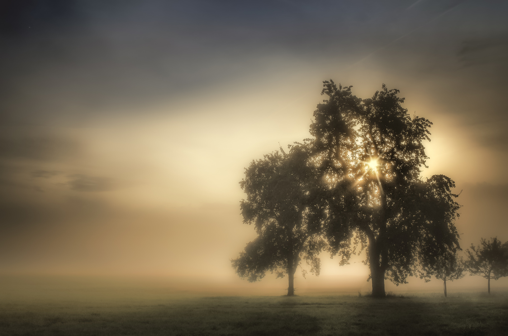 Der Herbst lässt grüßen